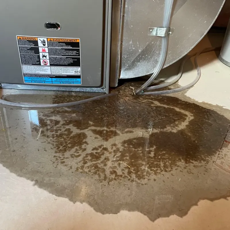 Appliance Leak Cleanup in Middlebury, IN